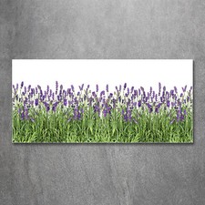 Glas-Bild Wandbilder Druck auf Glas 120x60 Blumen & Pflanzen Lavendel Blumen