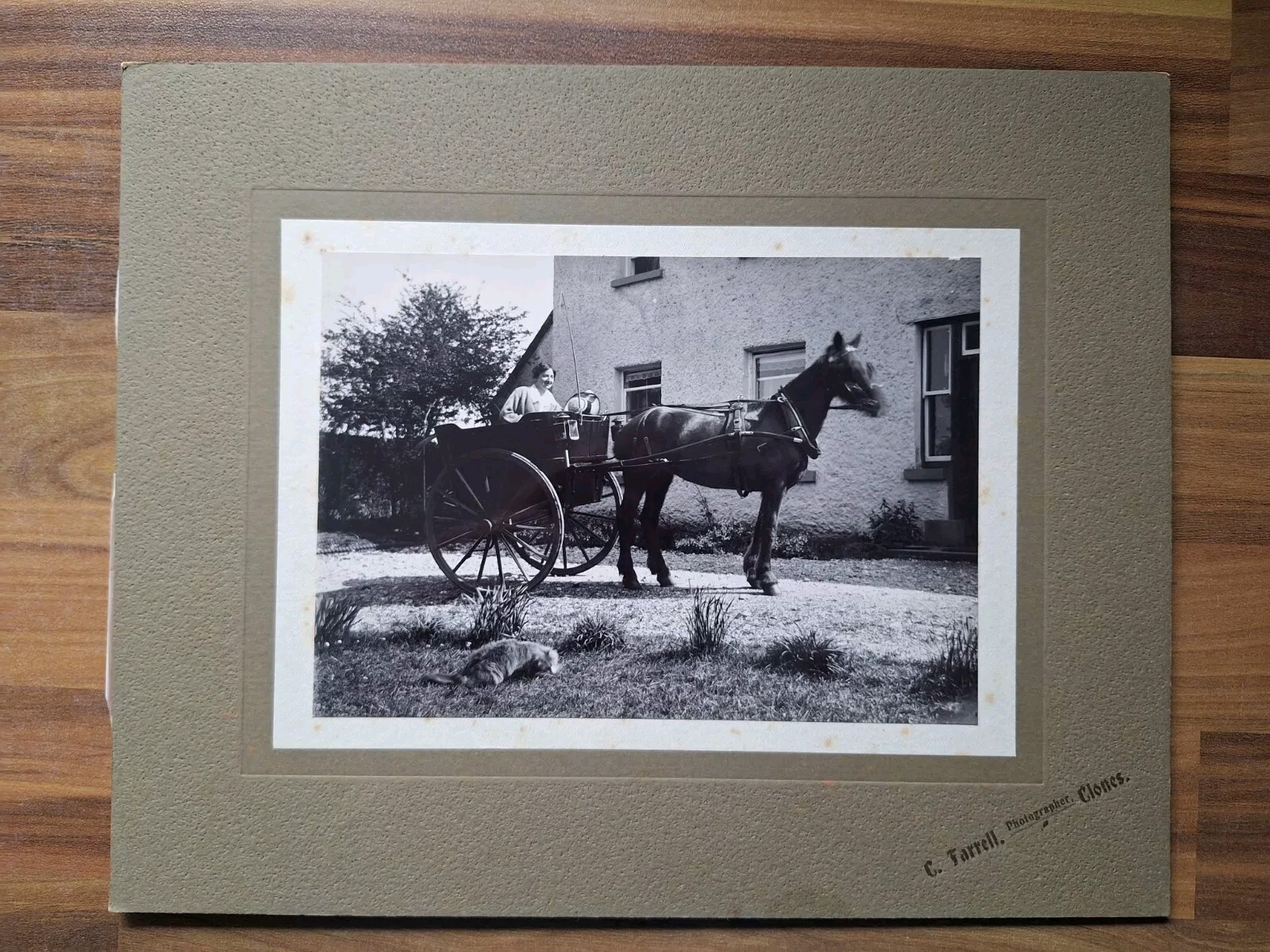 Picture 1