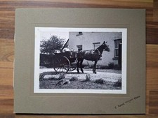 Antique Photograph . Local Scene . Clones Monaghan Ireland. 10 X 8 Inch