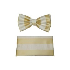 Men's Fancy Bow Tie/Hankie Set By J.Valintin Soft Microfiber Silky JVBT-30 Gold