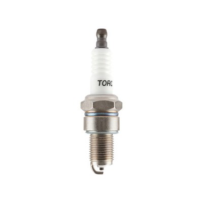 Briggs & Stratton Spark Plug | 798615
