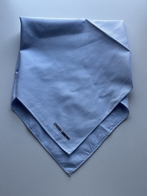 United Arrows Einstecktuch Einstecktuch Herren hellblau Baumwolle gestreift