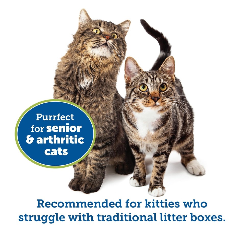 KittyGoHere Senior Cat Litter Box 1 Pack, Large Misty Gray Low Entrance