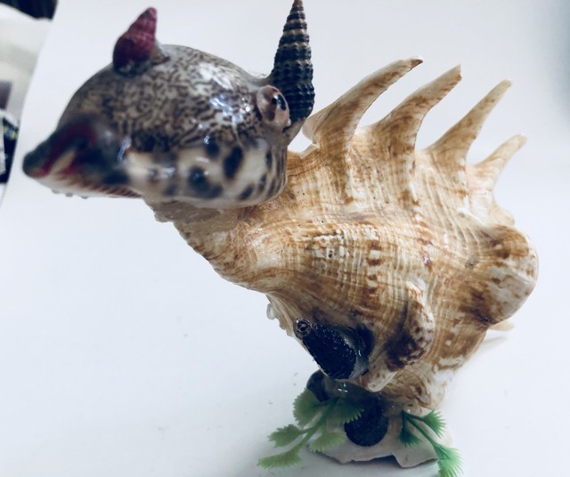 Sea Shell Dinosaur MADE ENTIRELY OF SEA SHELLS | eBay