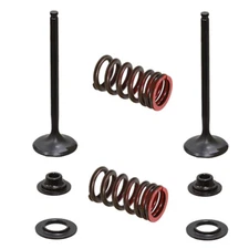 Psychic Exhaust Valve Kit for Kawasaki 2004-16 KX250F, for Suzuki 2004-06 RMZ250