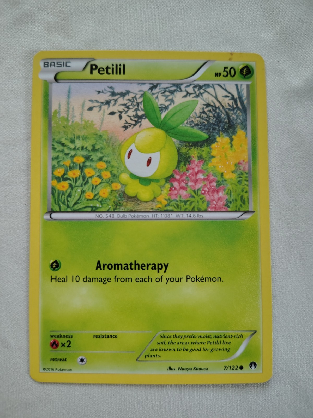 Petilil Regular 7/122 XY Breakpoint 2016 Pokemon TCG NM
