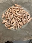 Natural Lettered Olive Seashells 2 lbs — photo 1
