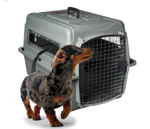 pet sky kennel