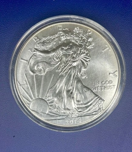 2014 American Silver Eagle 1 Oz .999 Fine Silver MS BU UNC "Ships in capsule"