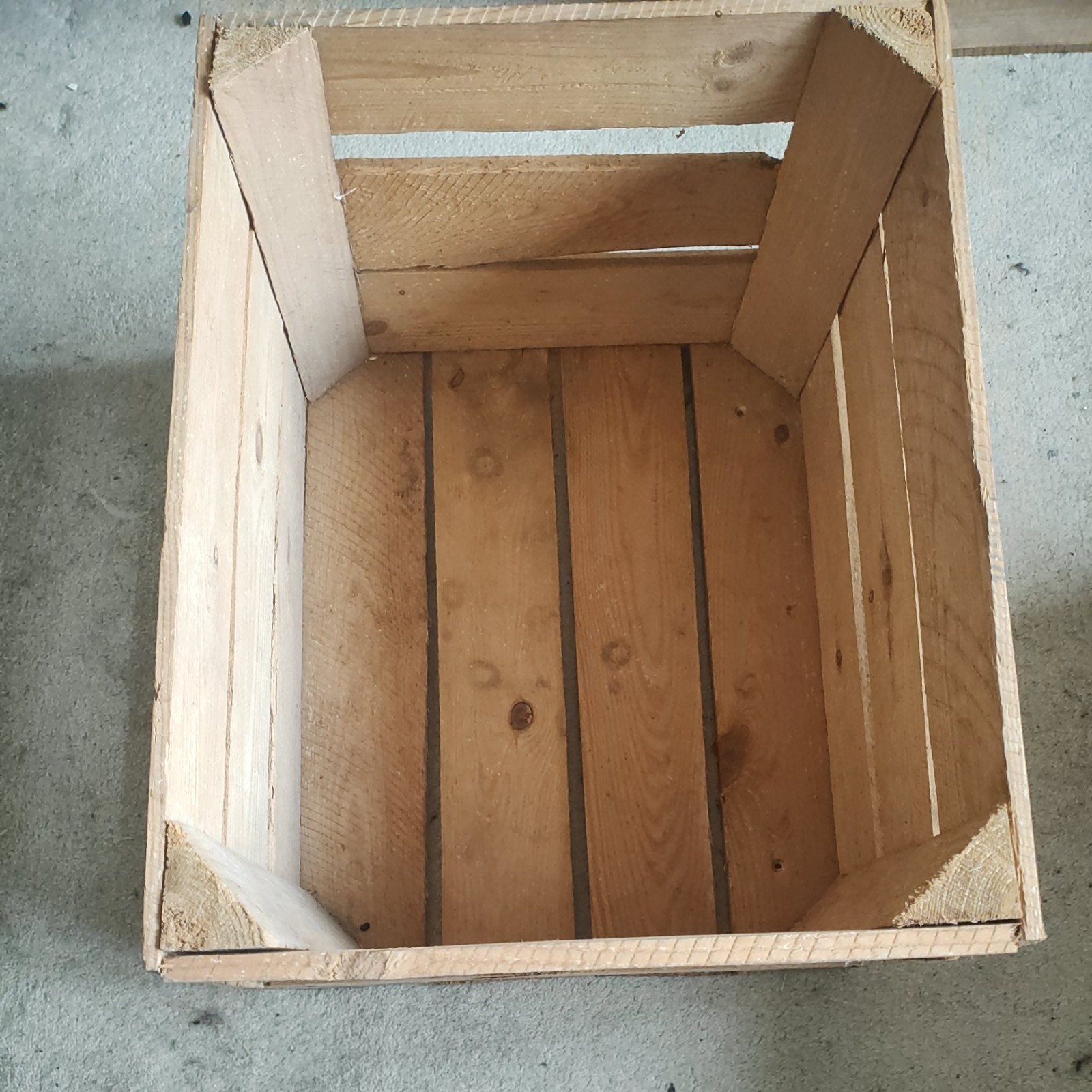Picture 3