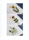 Bild 11 von 12