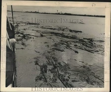 1950 Press Photo View of Driftwood in New Orleans Harbor from Ship - nox35832