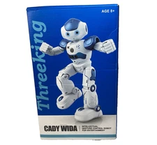 Cady Wini Robot AMZN-001 Gesture Sensing Remote Control Robot Open Box New