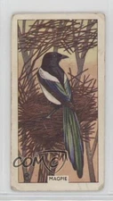 1961 Sunlight Soap British Birds and Their Nests Magpie #12 0f3j