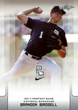 BRANDON BIRDSELL 2017 LEAF 