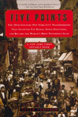 Five Points : The Nineteenth-Century New York City Neighborhood T