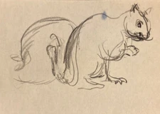 MCM Squirrel Animal Drawing Sketch