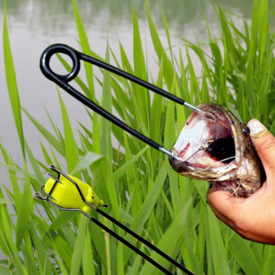 electric deep sea fishing reel Daiwa Marine Power MP3000 Power Assist Model:CUDC151MGA (LH) *Pre-Order; Est Ship Date Sep 2026* smart LCD md Betta Fish Tank Decoration