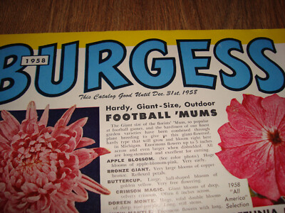 Burgess Seed And Plant Co. 1958 Booklet Catalog