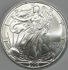 2006 American Silver Eagle Dollar