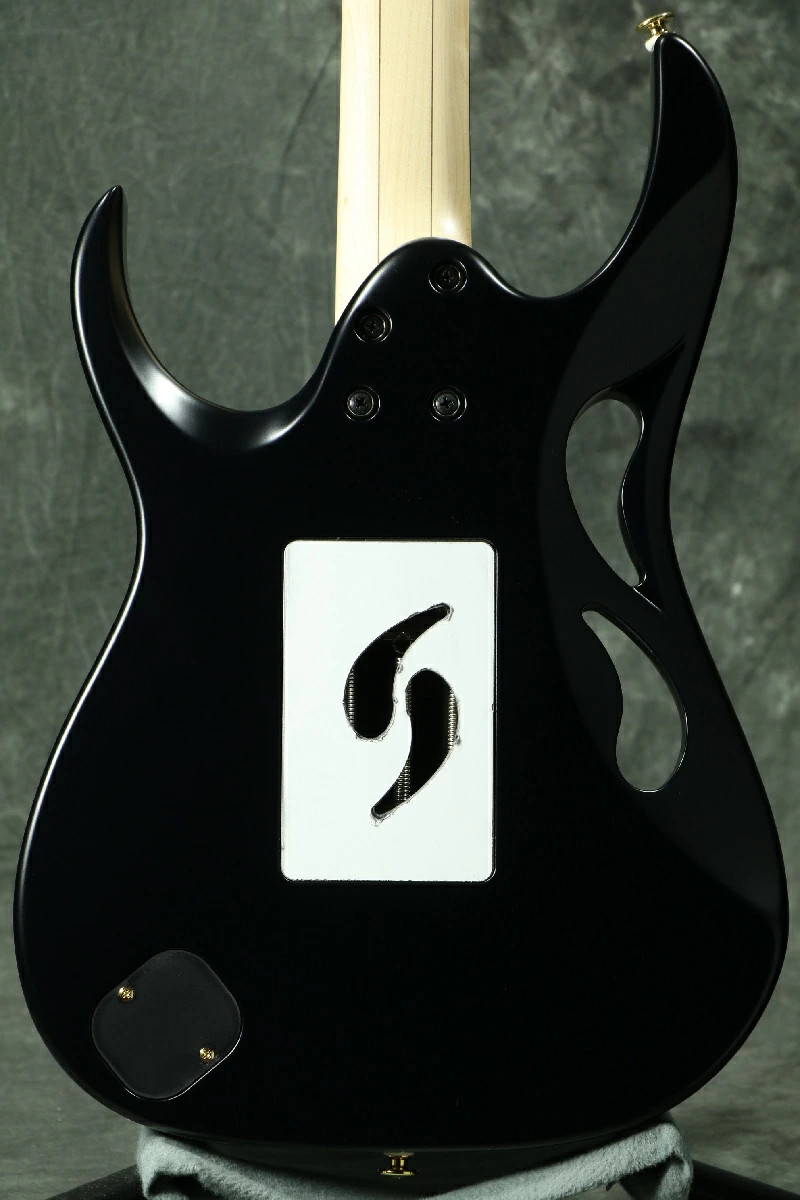 Ibanez Steve Vai 6-String Electric Guitar - Onyx Black (PIA3761XB