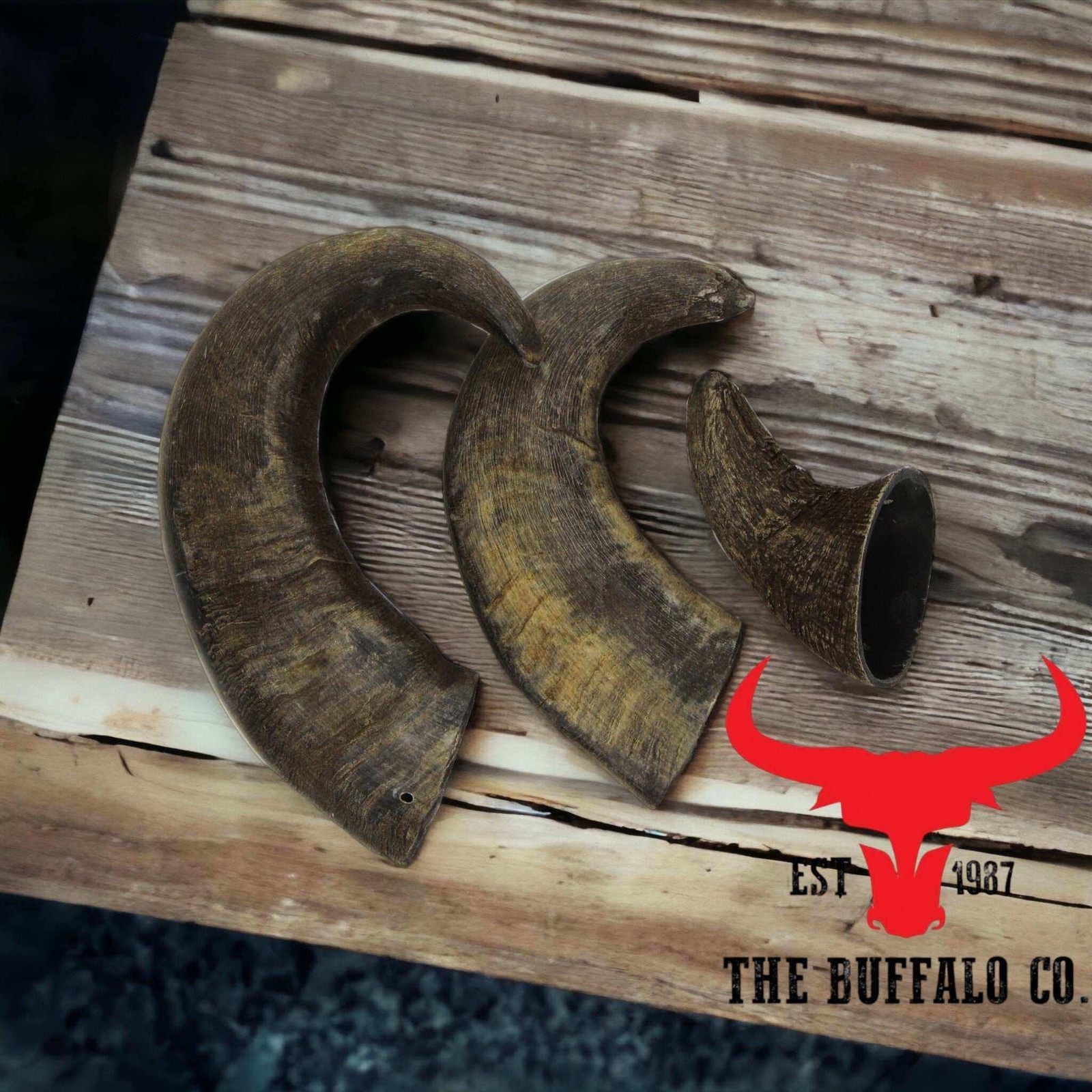 The Buffalo Co. Large Buffalo Horn Dog Chew 6-8 Inch Long Lasting Natural
