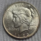1923 P Peace Silver Dollar. Estimated Uncirculated Mint State 61/2 A0529.