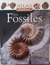 Les Fossiles 