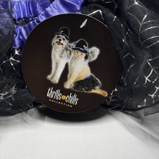 NWT, Thrills  Chills Pet Costume, Witch Access Set, Small