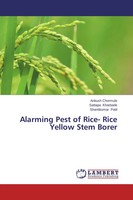 Ankush Chormule (U. A.) | Alarming Pest Of Rice- Rice Yellow Stem Borer | Buch