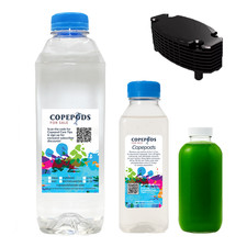 Mandarin Starter Kit   32oz Mandarin Mix  XL Tig Pods  Phytoplankton  Hotel