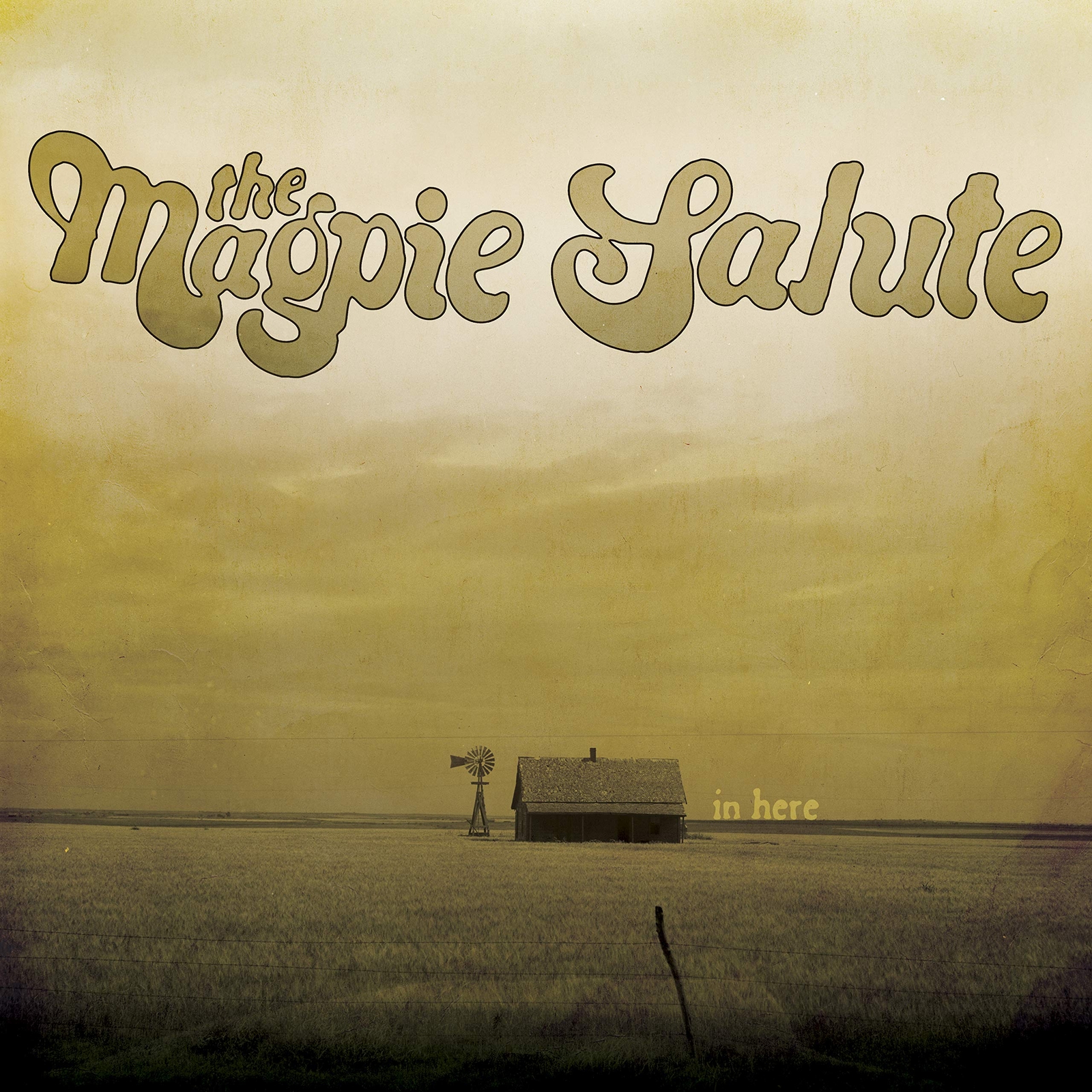Magpie Salute In Here (Vinyl LP)