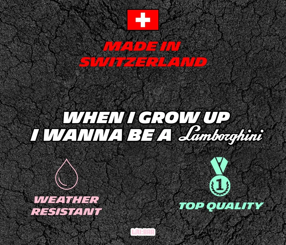 Cuando crezca quiero ser un Lamborghini - Calcomanía parachoques coche, ventana o cualquier otro Foto 4 de 4