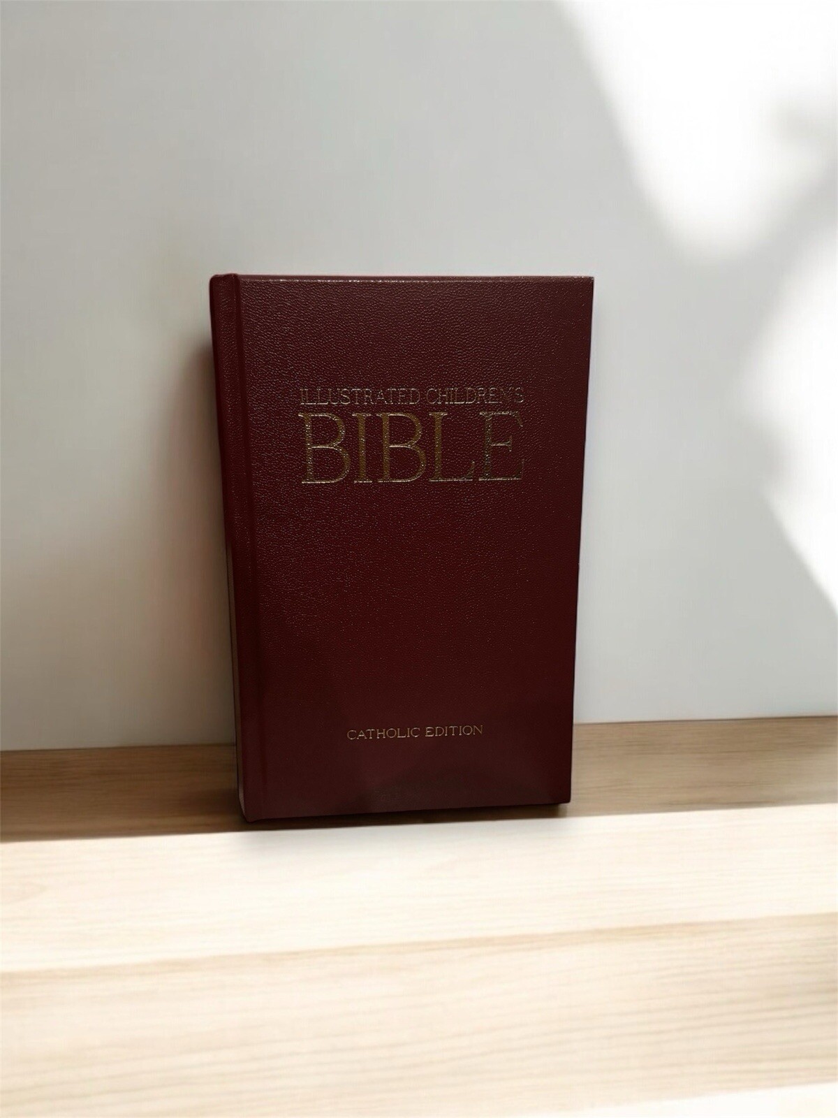 Illustrated Children's Bible by Aquinas Kids