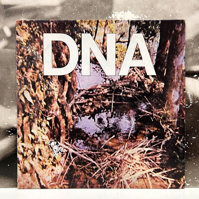 DNA   A TASTE OF DNA 12'' EP EX-/VG+/EX- 1981 ITALY 1st ITALIAN RECORDS EX 7
