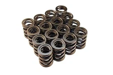 VALVE SPRINGS H-SERIES DOHC VTEC H22A (2.2L DOHC VTEC)