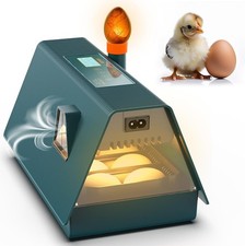 Incubator for Hatching Eggs - Ideal All Ages - Automatic Green Mandarine