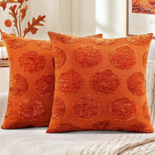 Decorative Rust Pumpkin Thanksgiving Throw Pillow Covers 18x18 Set of 2, Soft Ch