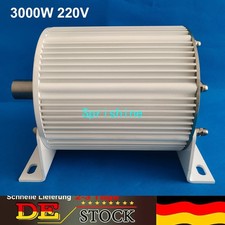 DE 3000W 220V Permanentmagnet Generator 500rpm Synchrongenerator Alternator
