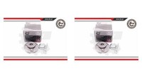 Esen SKV 2X Radnabe Radlagersatz Vorne FüR Smart Cabrio Fortwo Land Rover 450