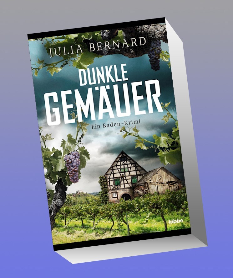 Dunkle Gemäuer Julia Bernard