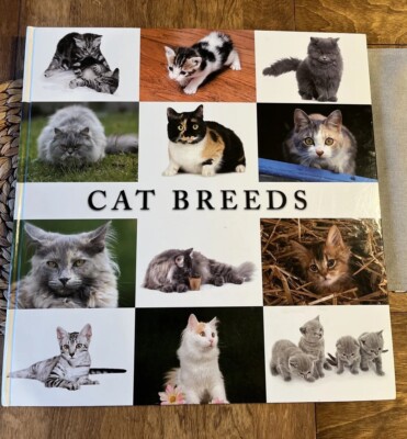 Cats Breeds:- OVERSIZE Book 18`*18 By Alice Buckland Cat Lovers Ed