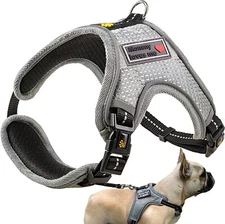 No Pull Dog Vest Harnesses Small Dog Adjustable Comfort (Small)