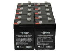 Raion Power 6V 4.5Ah Battery For Power Kingdom PS4.5-6 - 10 Pack