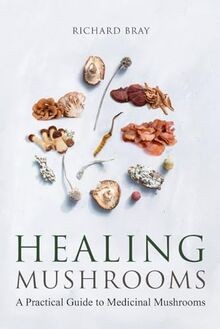 Medicinal Mushrooms: A Practical Guide to Healing M... | Buch | Zustand sehr gut