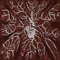 Trash Boat - Crown Shyness - Cd - F123Z