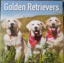 2021 GOLDEN RETRIEVERS Wall Calendar 12"x12" Turner Licensing New~ Free Shipping