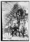 Photo:Coggeshall, Holland, Boule (director), Carnegie Diplodocus, Paris