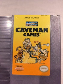 Caveman Games NES tested/works, with instructions and dust sleeve 