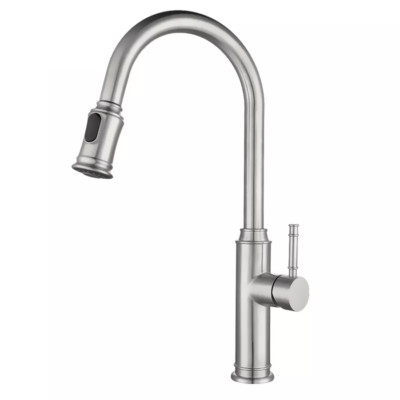 Küchenarmatur 360 Ausziehbar Mischbatterie Flex Schwenkbar Dual Brause Wasserhahn Chrom Edelstahl